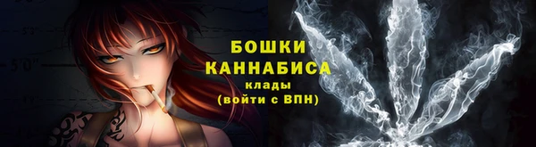 сатива Беломорск