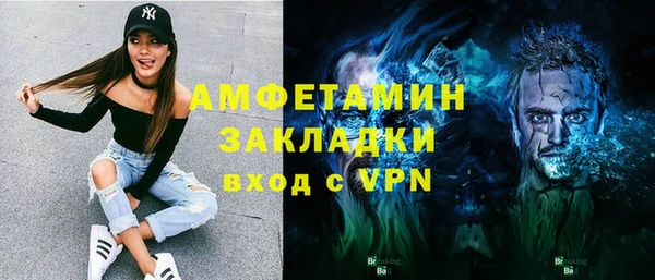 сатива Беломорск
